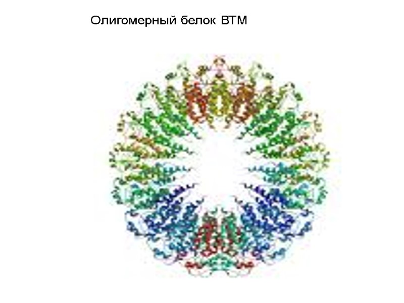 Олигомерный белок ВТМ